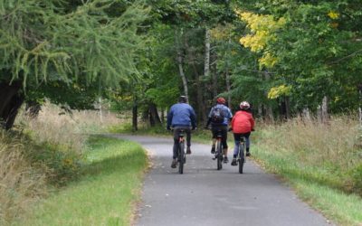 Ako sme dospeli k „cyklo“ vízii našej „masky“?